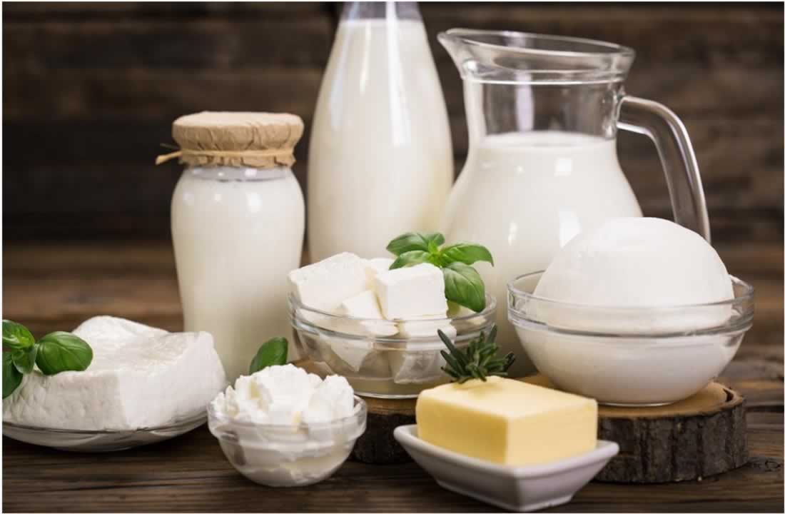 Dairy